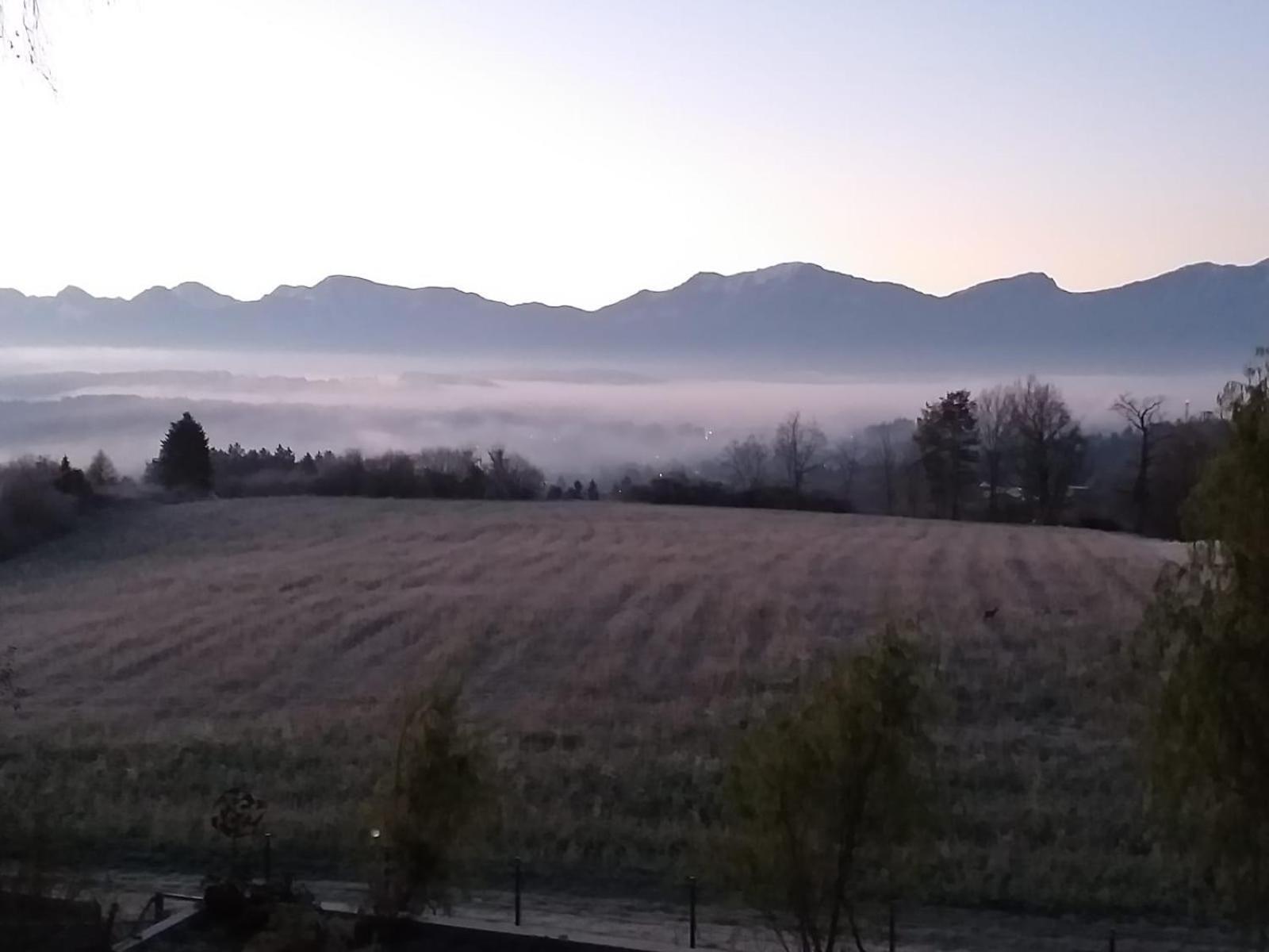 벨덴암워스에르시 Schwalbennest Velden 아파트 외부 사진